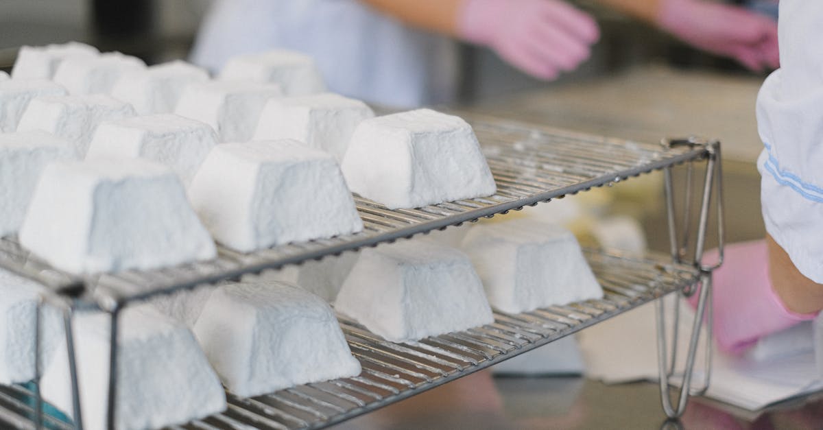 10 Energy-Saving Tips for Food Processing Cooling Systems