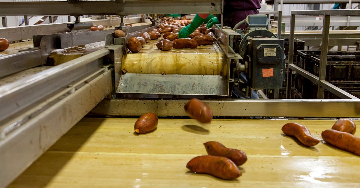 5 Key Advantages of Blast Freezing for Food Products