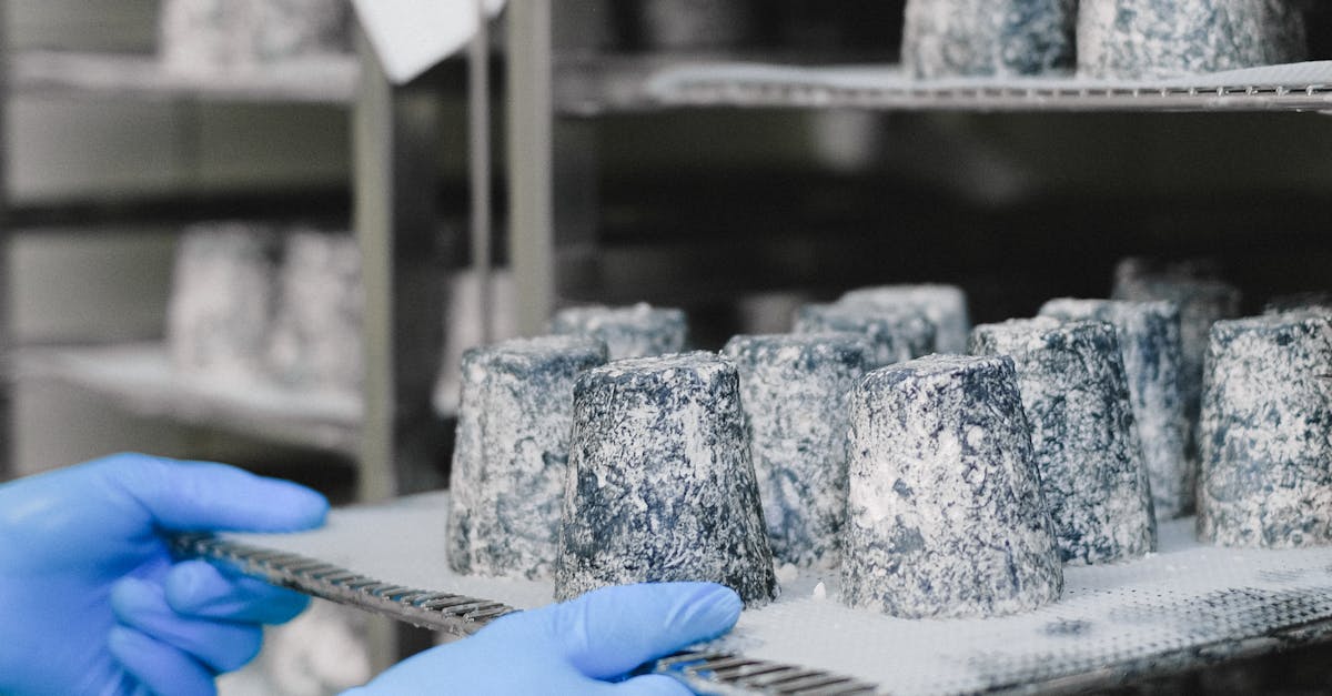 Historical Evolution of Refrigeration Systems in Food Processing