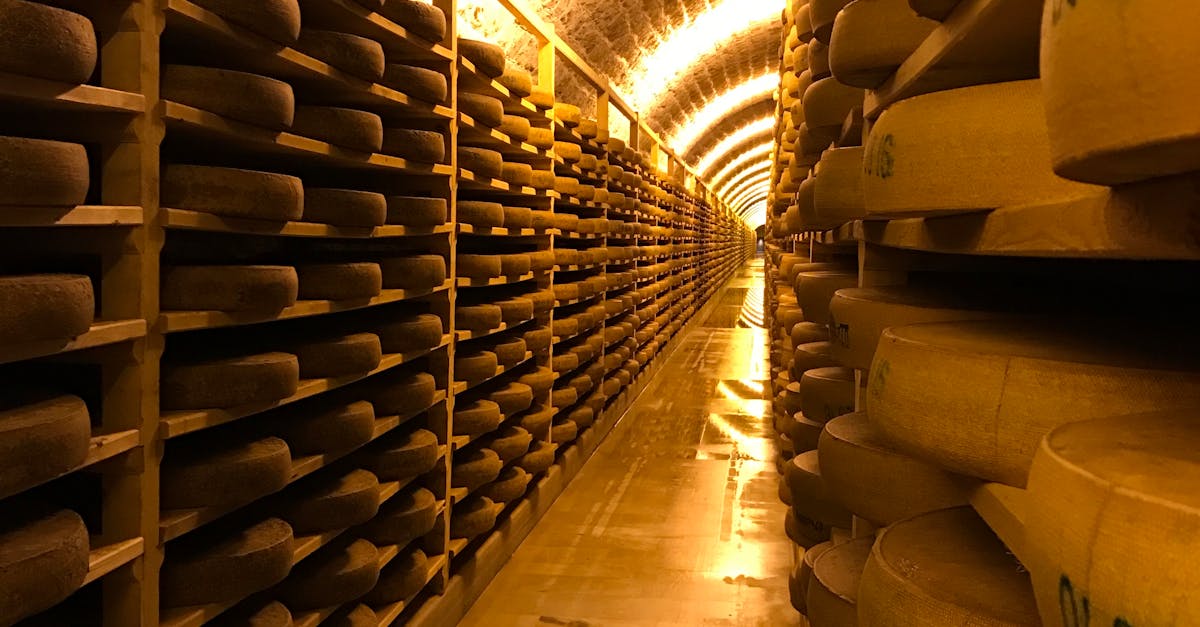 How to Choose the Right Cold Storage Facility for Your Food Products