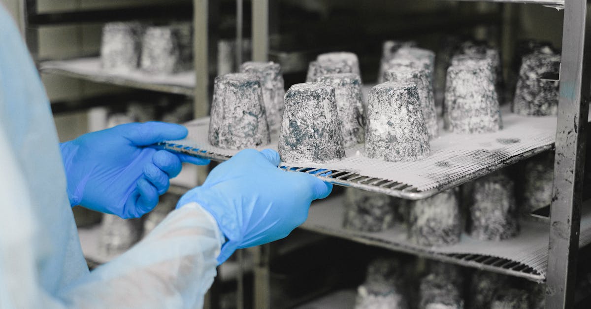 How to Improve Efficiency in Freezing Systems