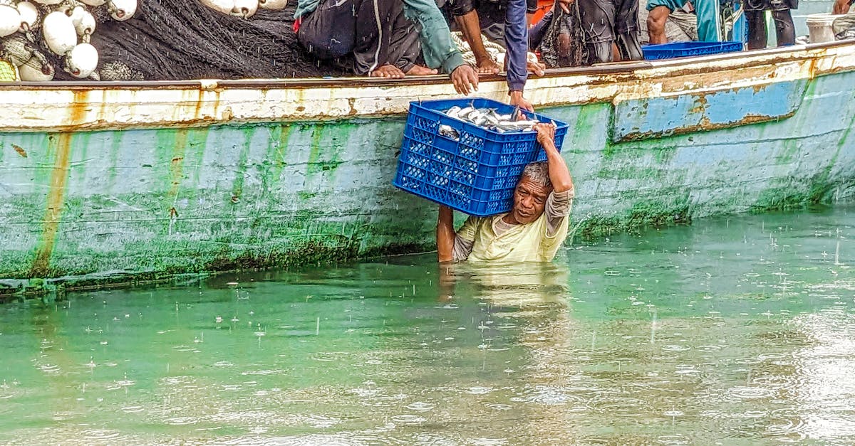 How to Optimise Air-Cooling Systems for Food Processing