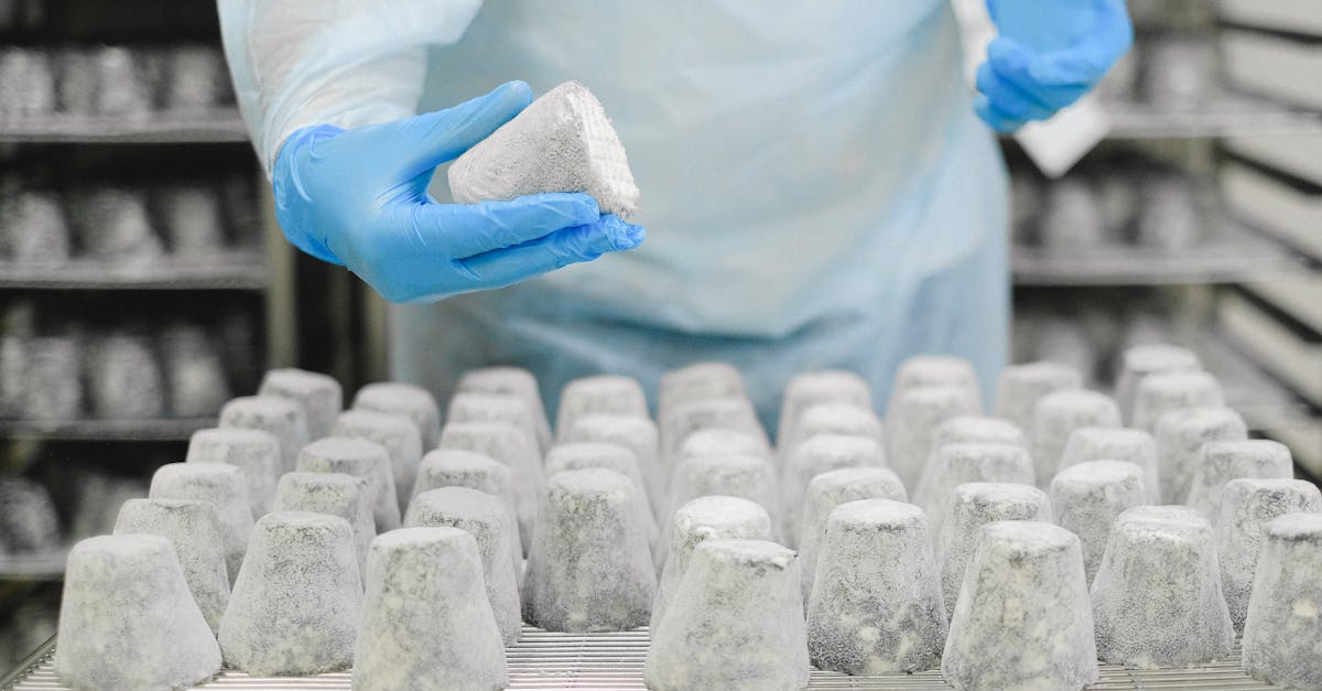 Review of Leading Freezing Systems on the Market Today