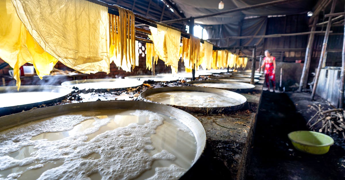 What are the Benefits of Air-Cooling Systems in Food Processing