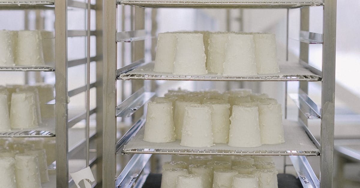 What to Consider When Designing a Refrigeration System for Food Processing