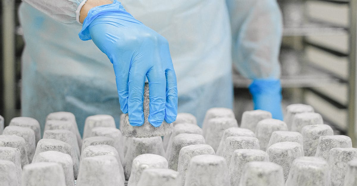 Why Maintaining Temperature Integrity is Vital for Food Safety